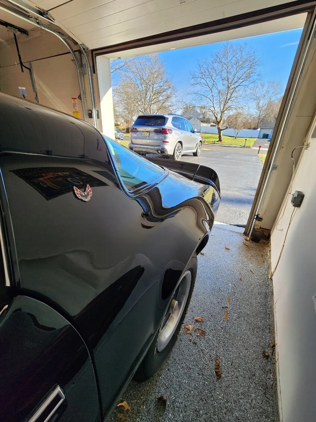 Pontiac-Firebird-1977-Black-Black-11