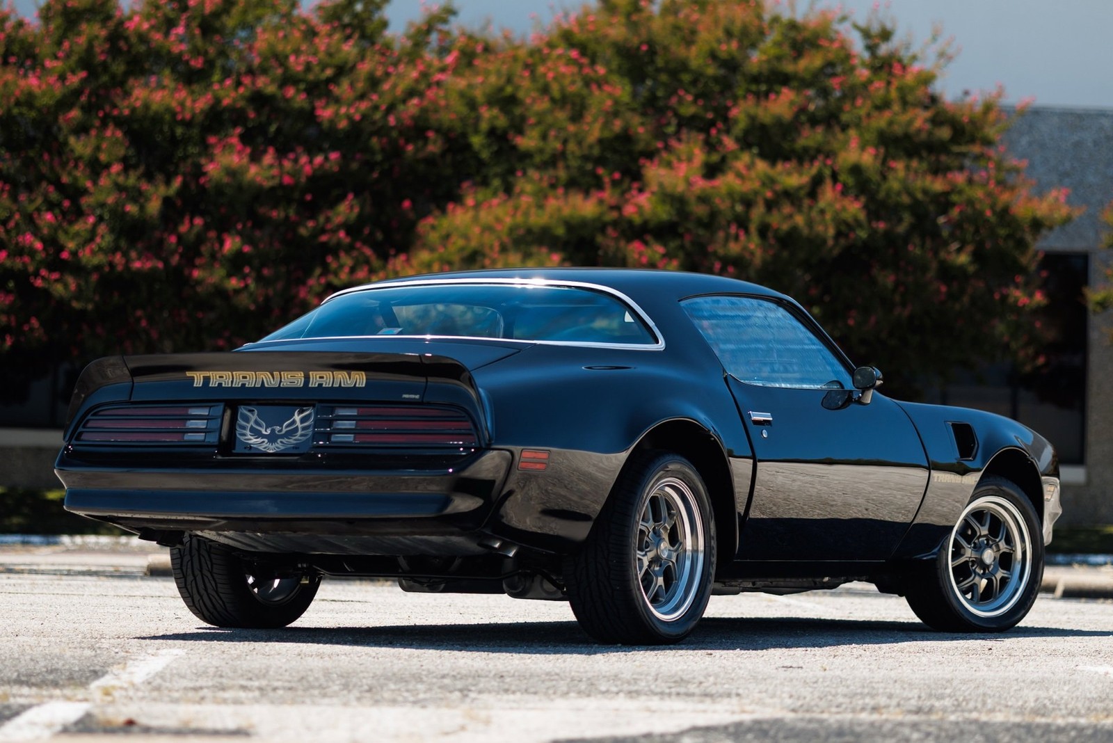 Pontiac-Firebird-1978-2D-Coupe-10