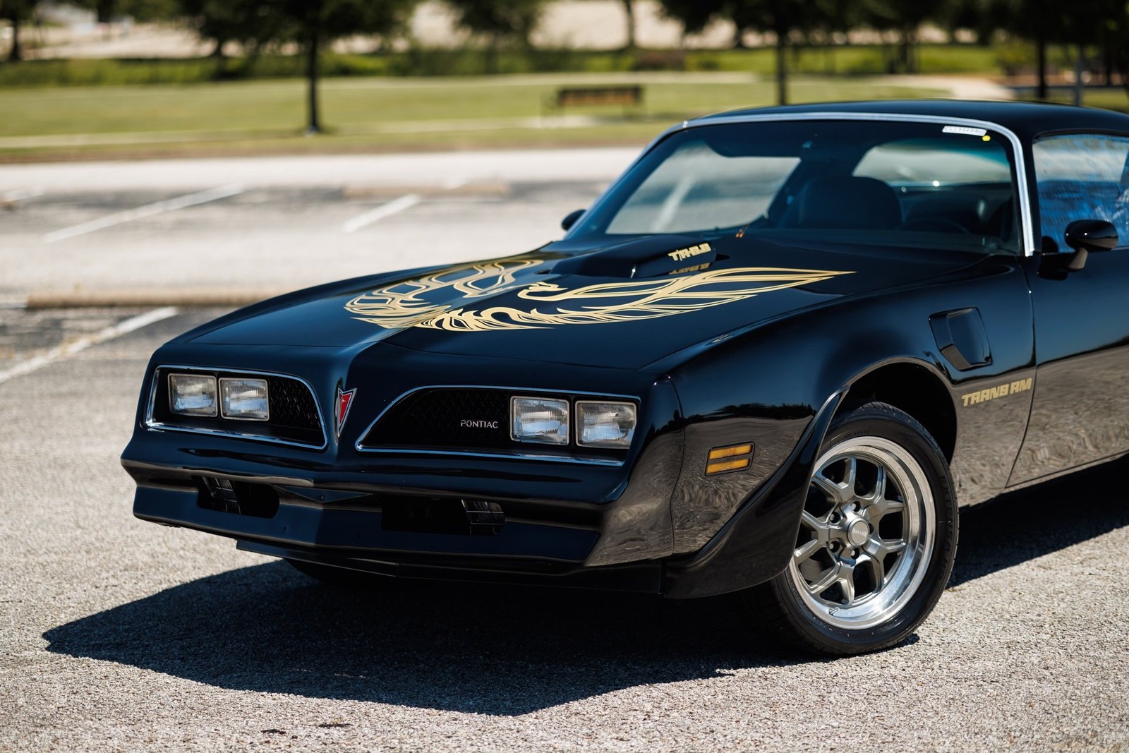 Pontiac-Firebird-1978-2D-Coupe-11