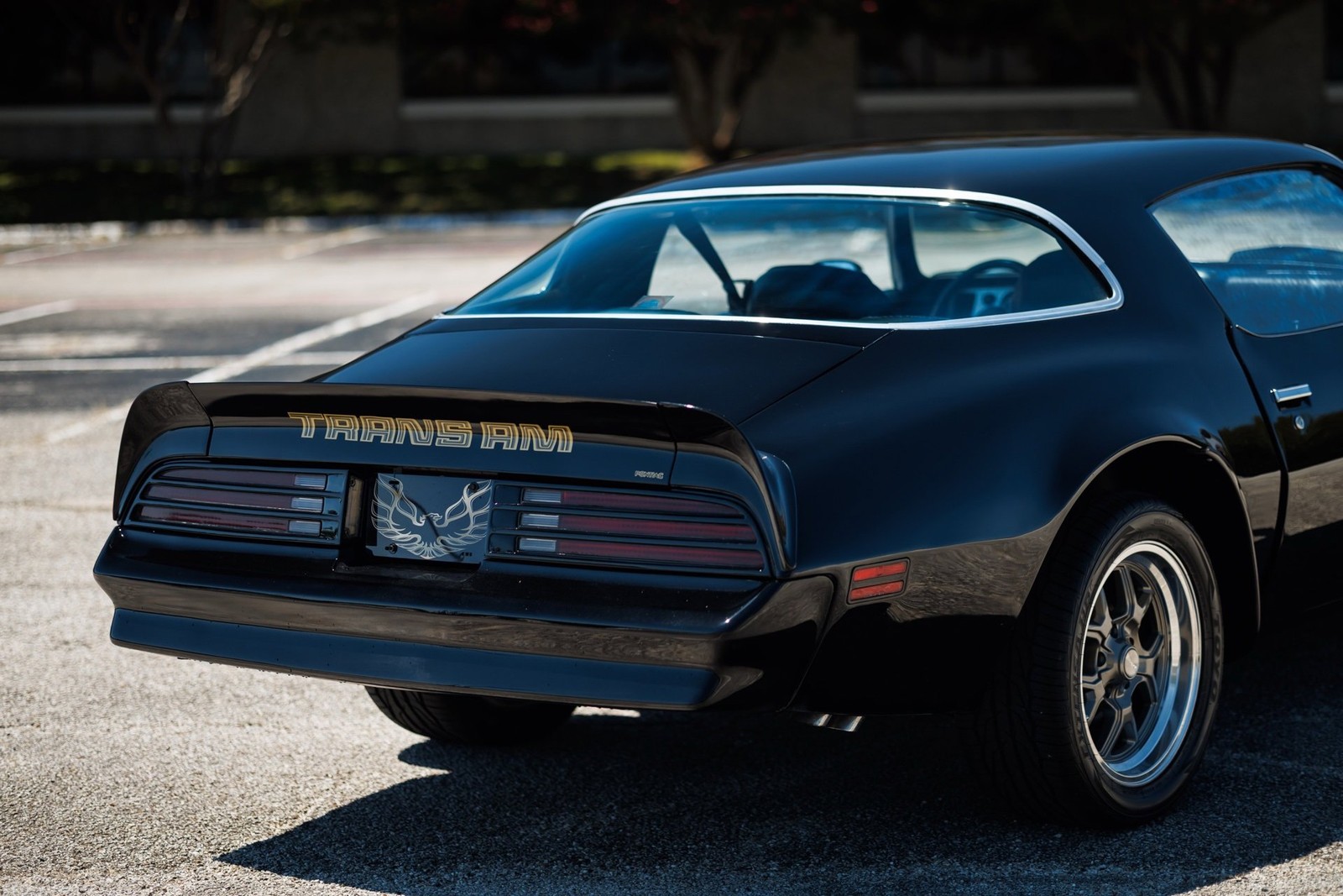Pontiac-Firebird-1978-2D-Coupe-13