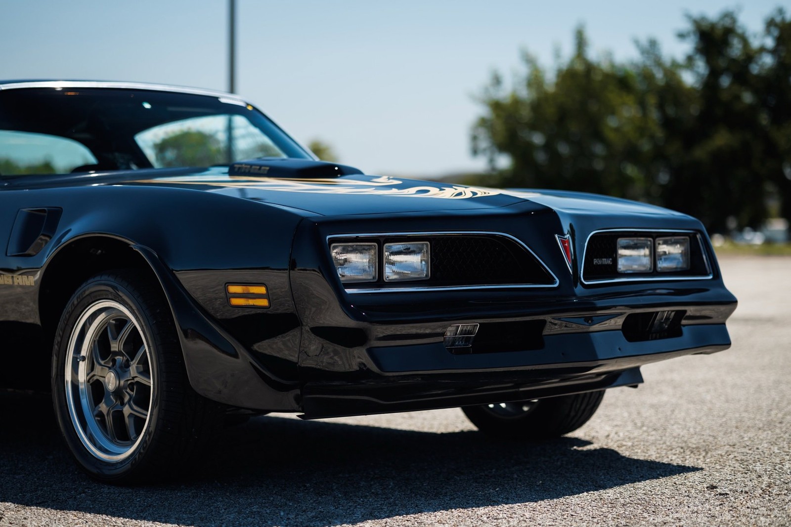 Pontiac-Firebird-1978-2D-Coupe-20
