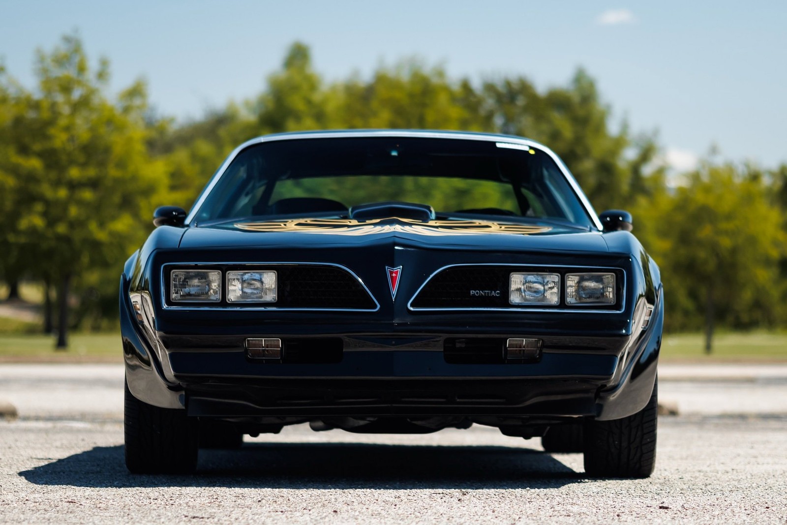 Pontiac-Firebird-1978-2D-Coupe-5
