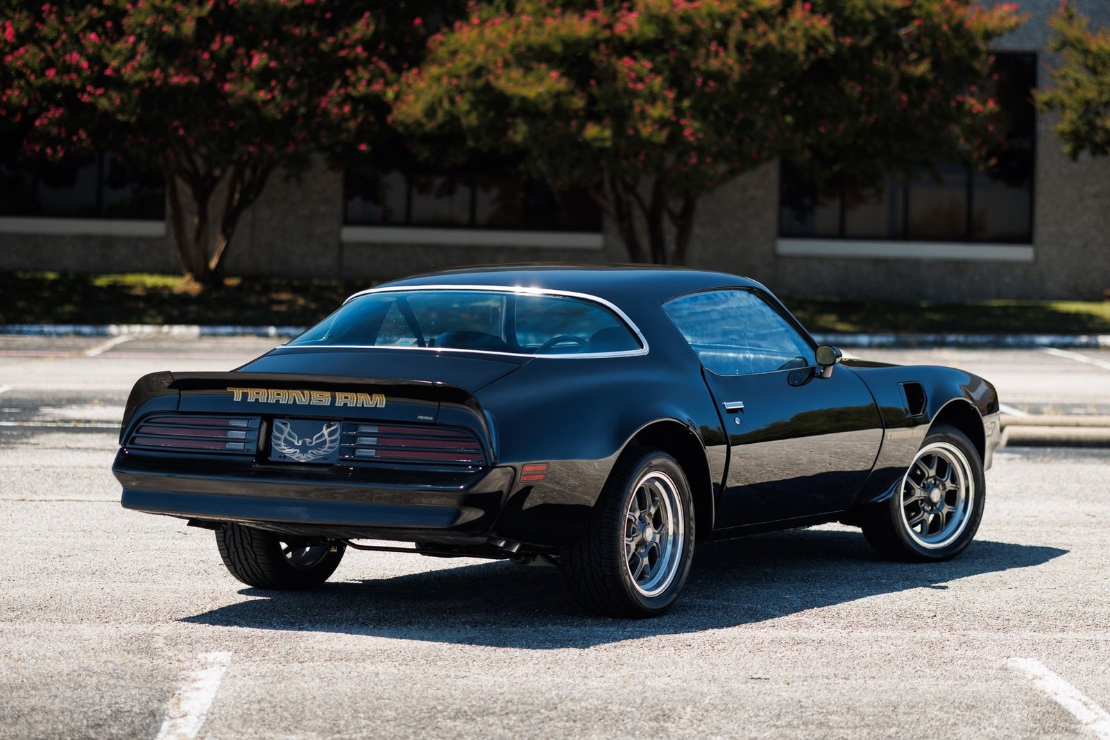 Pontiac-Firebird-1978-2D-Coupe-9