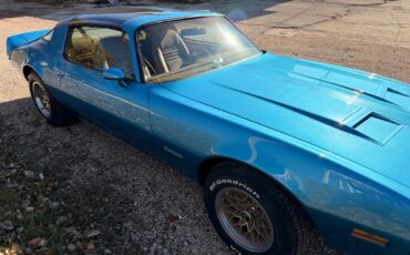 Pontiac-Firebird-1979-18