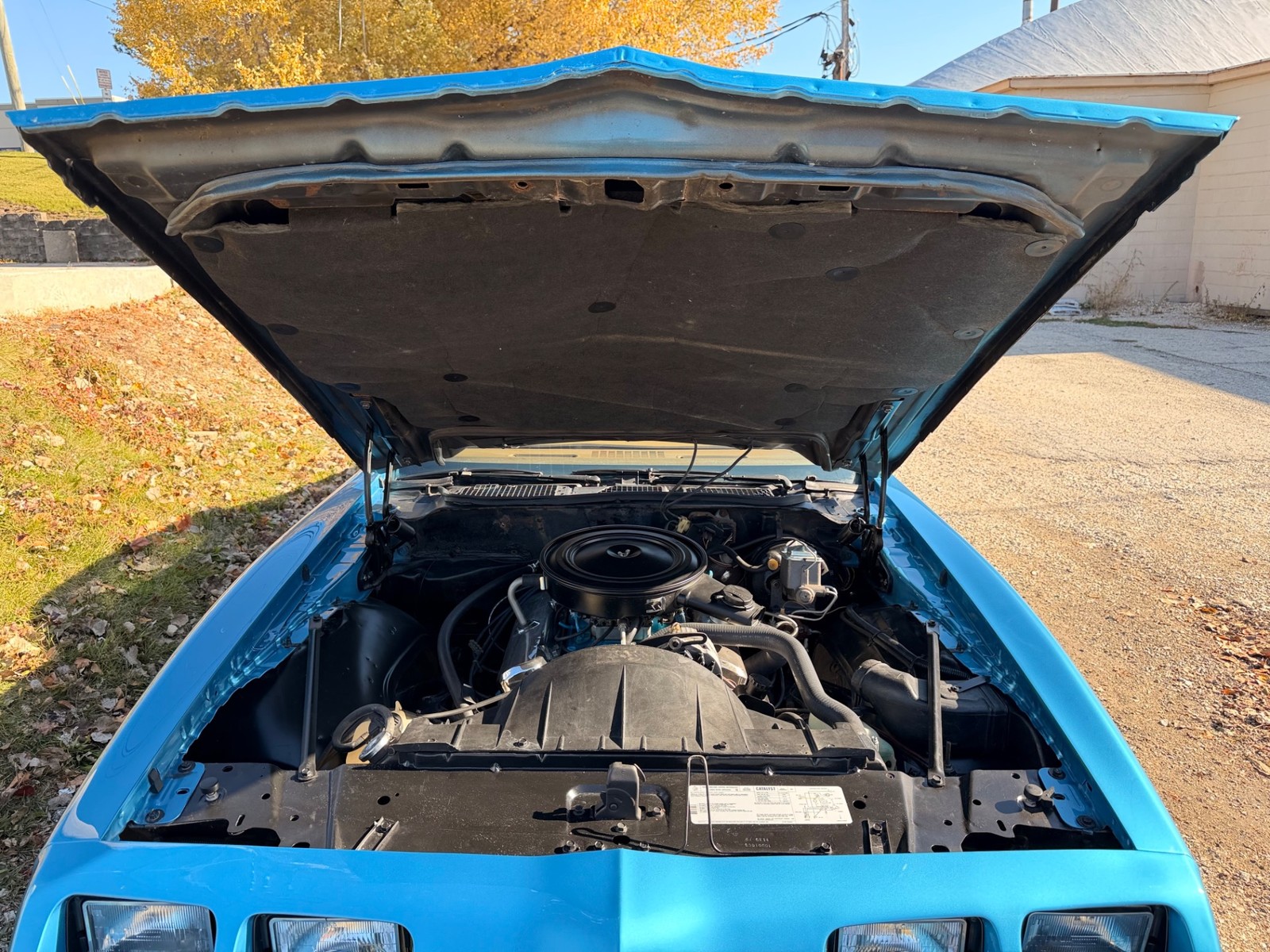 Pontiac-Firebird-1979-19