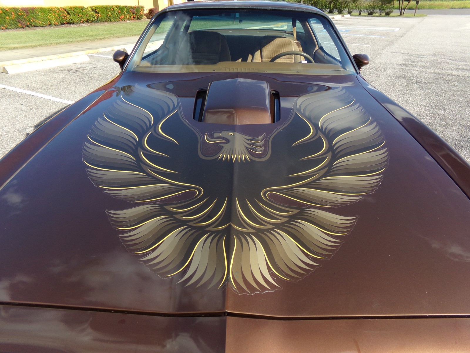 Pontiac-Firebird-1979-2-door-1