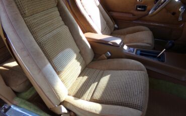 Pontiac-Firebird-1979-2-door-10