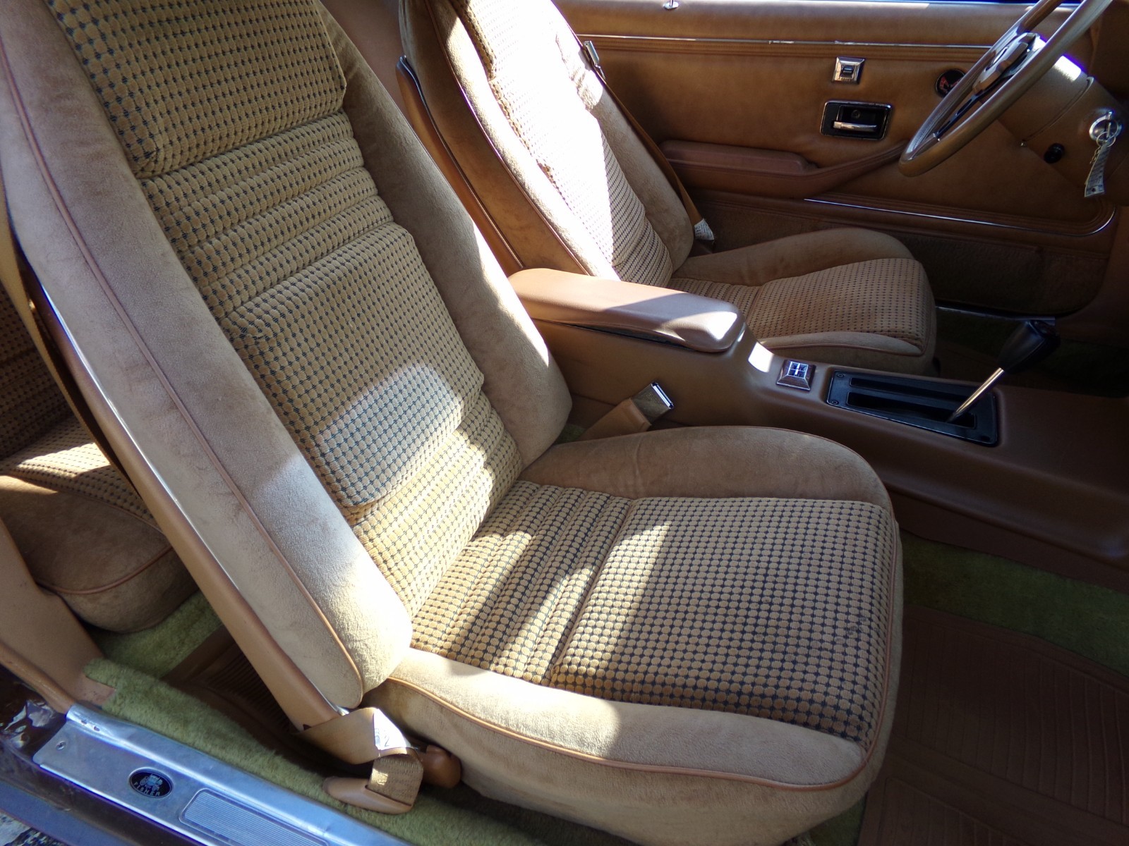 Pontiac-Firebird-1979-2-door-10