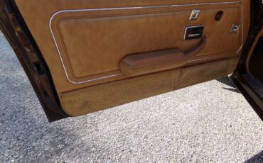 Pontiac-Firebird-1979-2-door-11