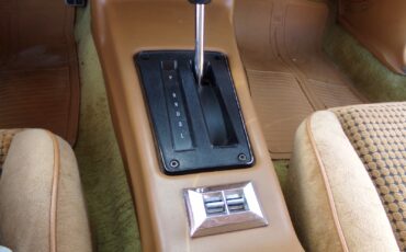 Pontiac-Firebird-1979-2-door-15