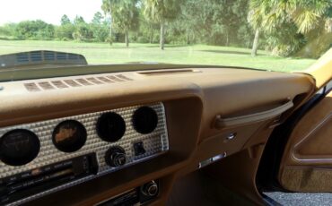 Pontiac-Firebird-1979-2-door-16