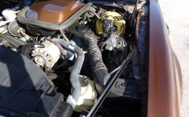 Pontiac-Firebird-1979-2-door-17