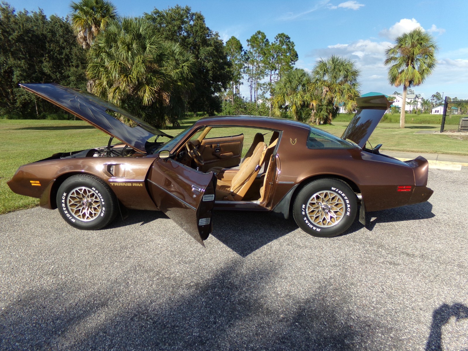 Pontiac-Firebird-1979-2-door-19