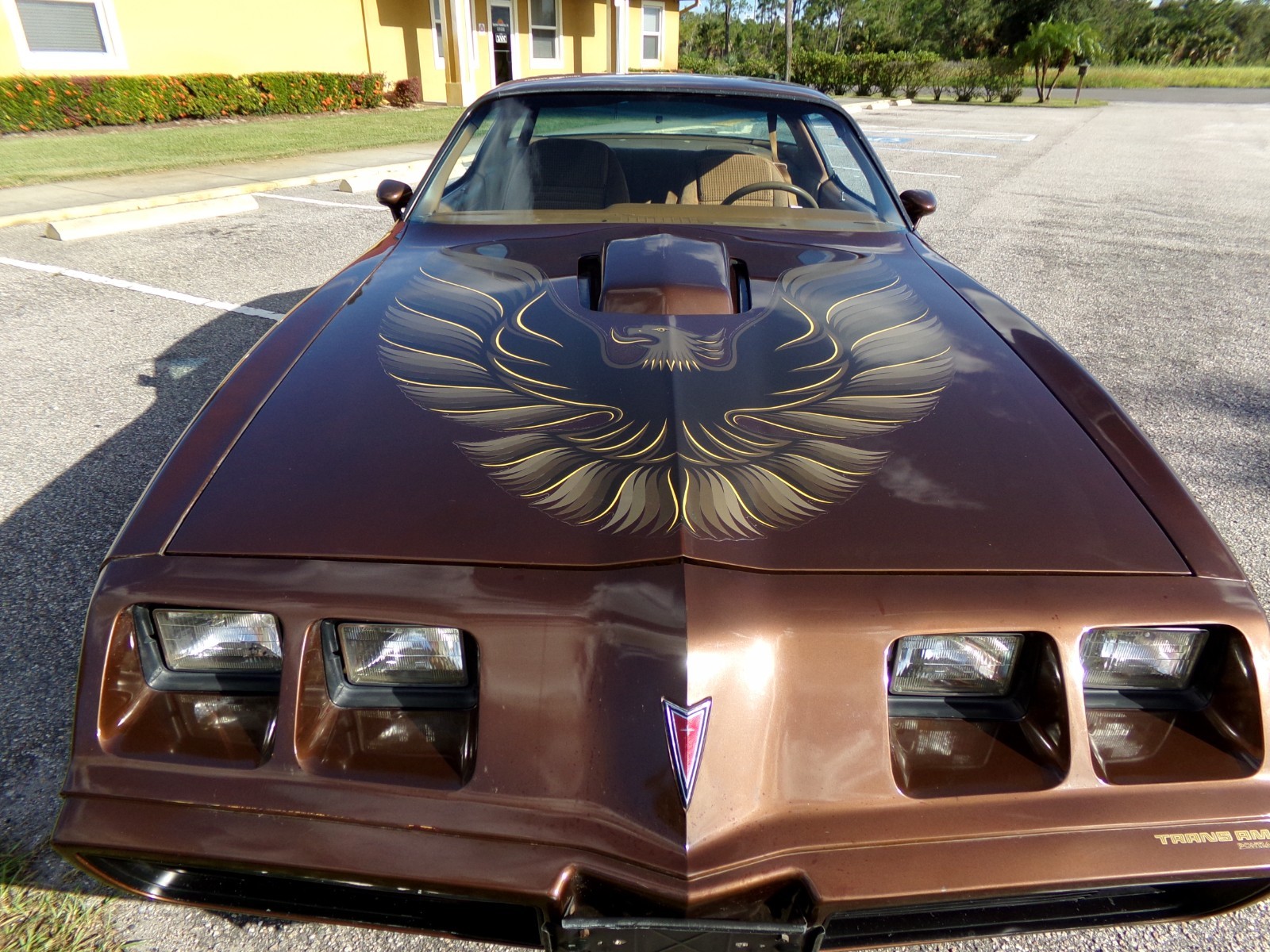 Pontiac-Firebird-1979-2-door-2