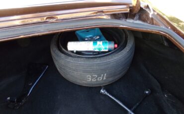 Pontiac-Firebird-1979-2-door-21