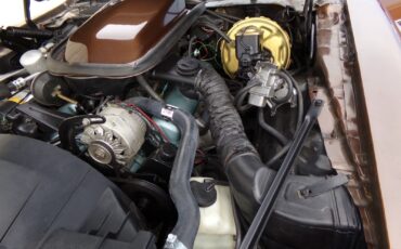 Pontiac-Firebird-1979-2-door-35