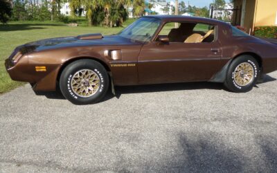 Pontiac Firebird 1979 2 door
