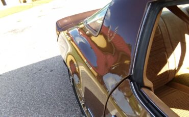 Pontiac-Firebird-1979-2-door-5