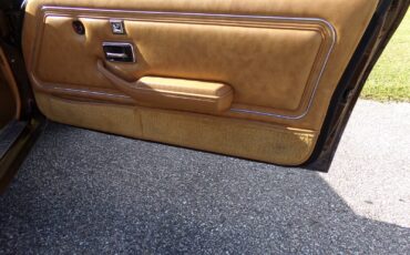 Pontiac-Firebird-1979-2-door-7