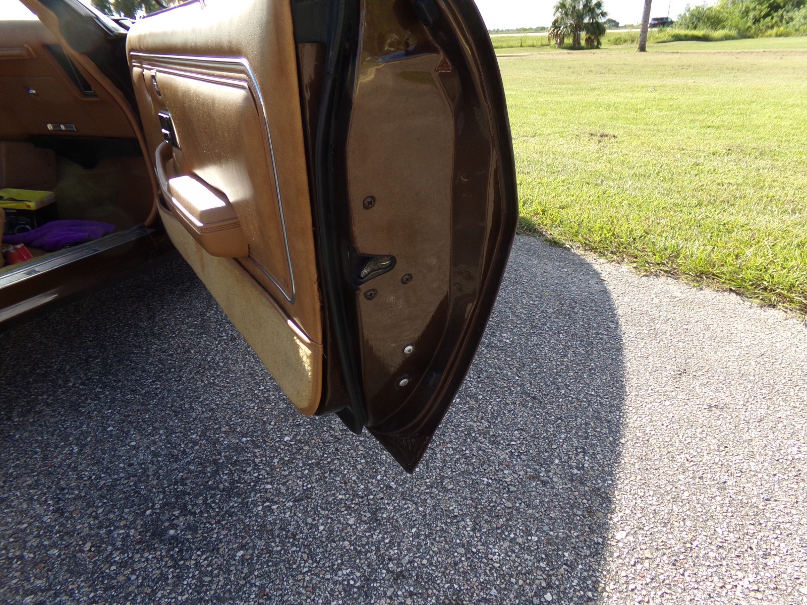 Pontiac-Firebird-1979-2-door-8