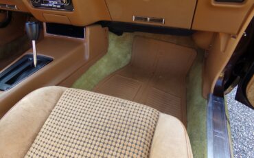 Pontiac-Firebird-1979-2-door-9