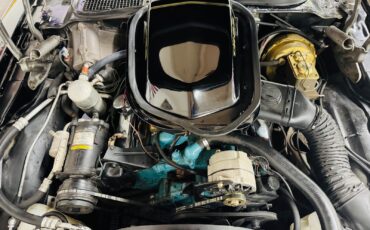 Pontiac-Firebird-1979-20