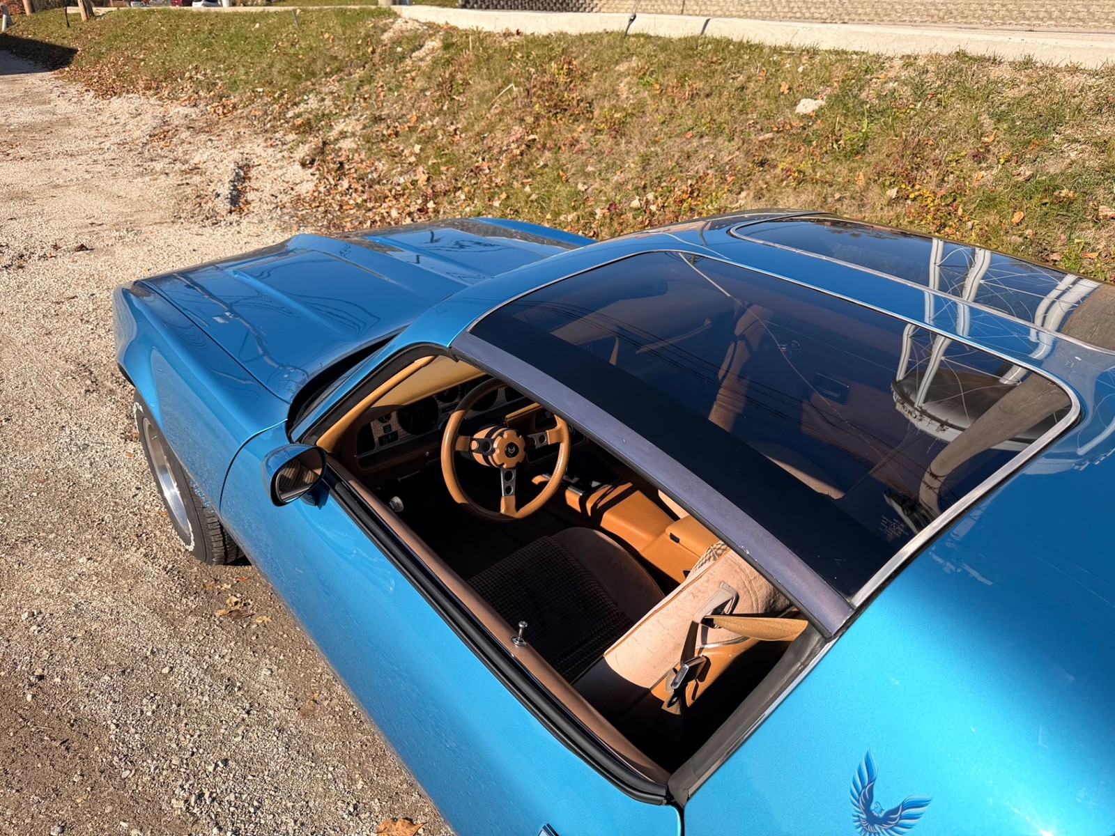 Pontiac-Firebird-1979-24