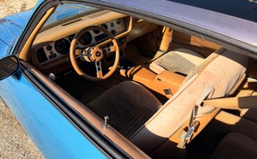 Pontiac-Firebird-1979-25