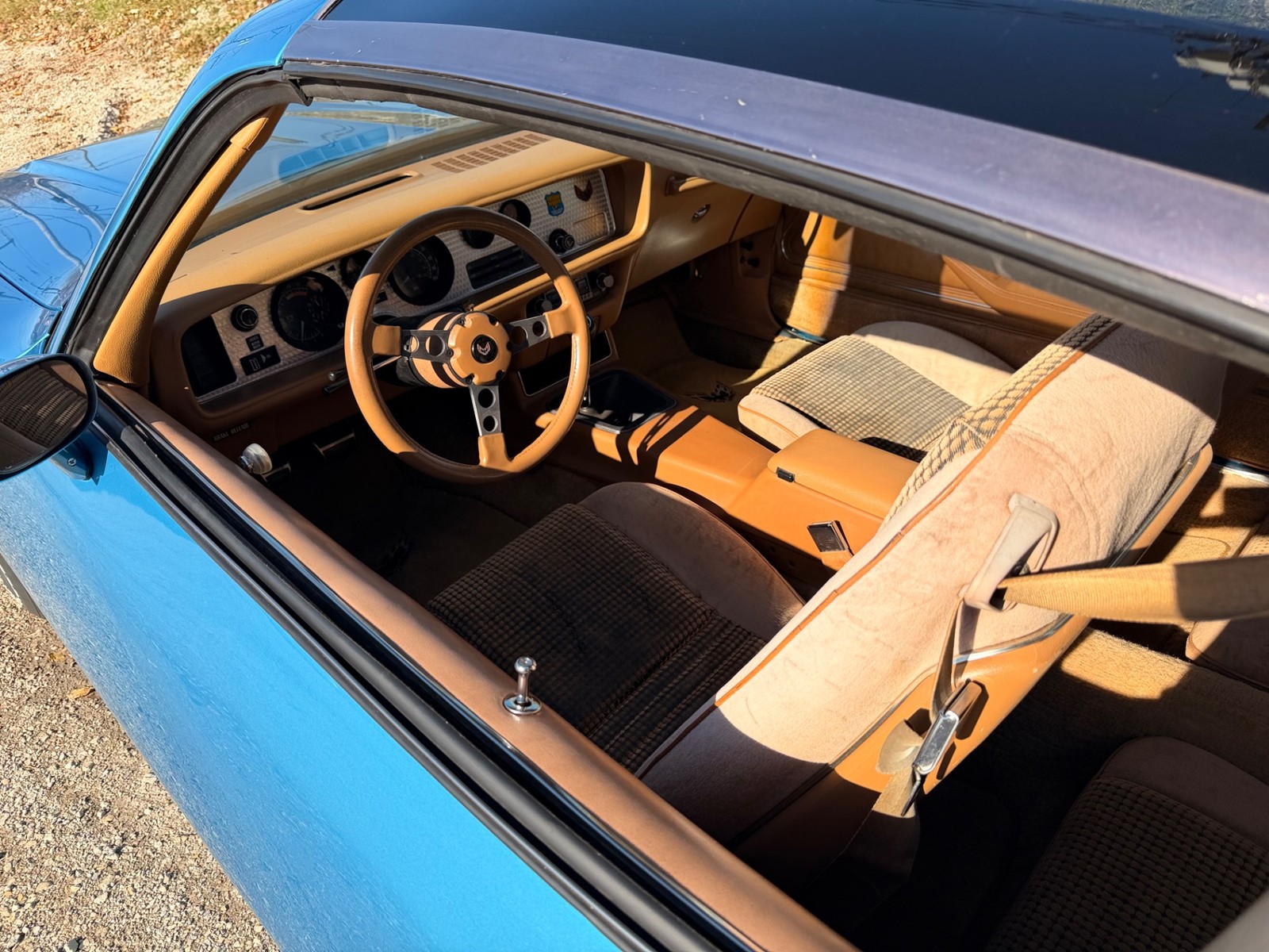 Pontiac-Firebird-1979-25