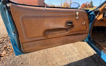 Pontiac-Firebird-1979-26