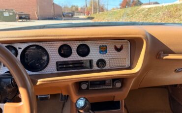 Pontiac-Firebird-1979-28