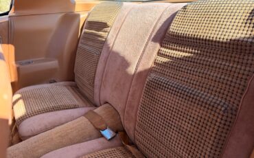 Pontiac-Firebird-1979-31