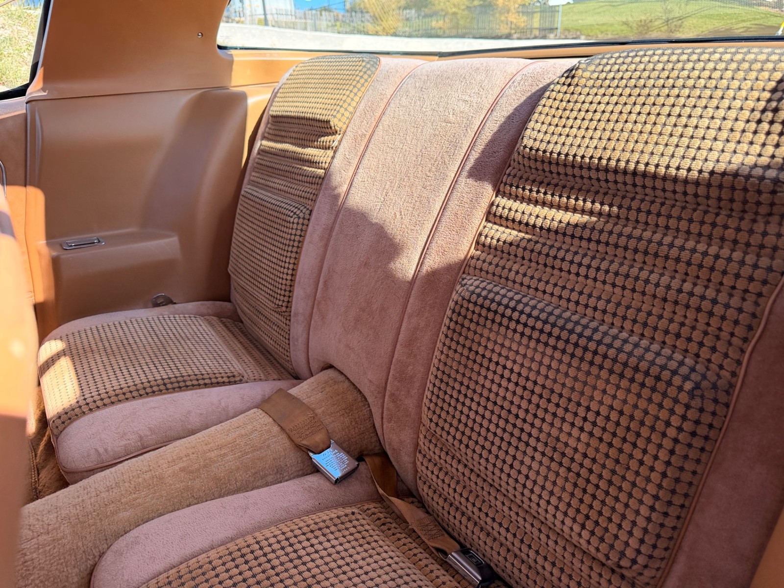 Pontiac-Firebird-1979-31