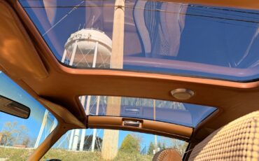 Pontiac-Firebird-1979-32