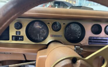 Pontiac-Firebird-1979-32