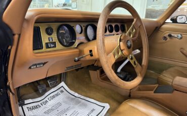 Pontiac-Firebird-1979-33