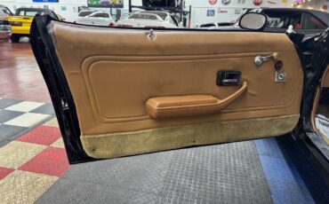 Pontiac-Firebird-1979-34