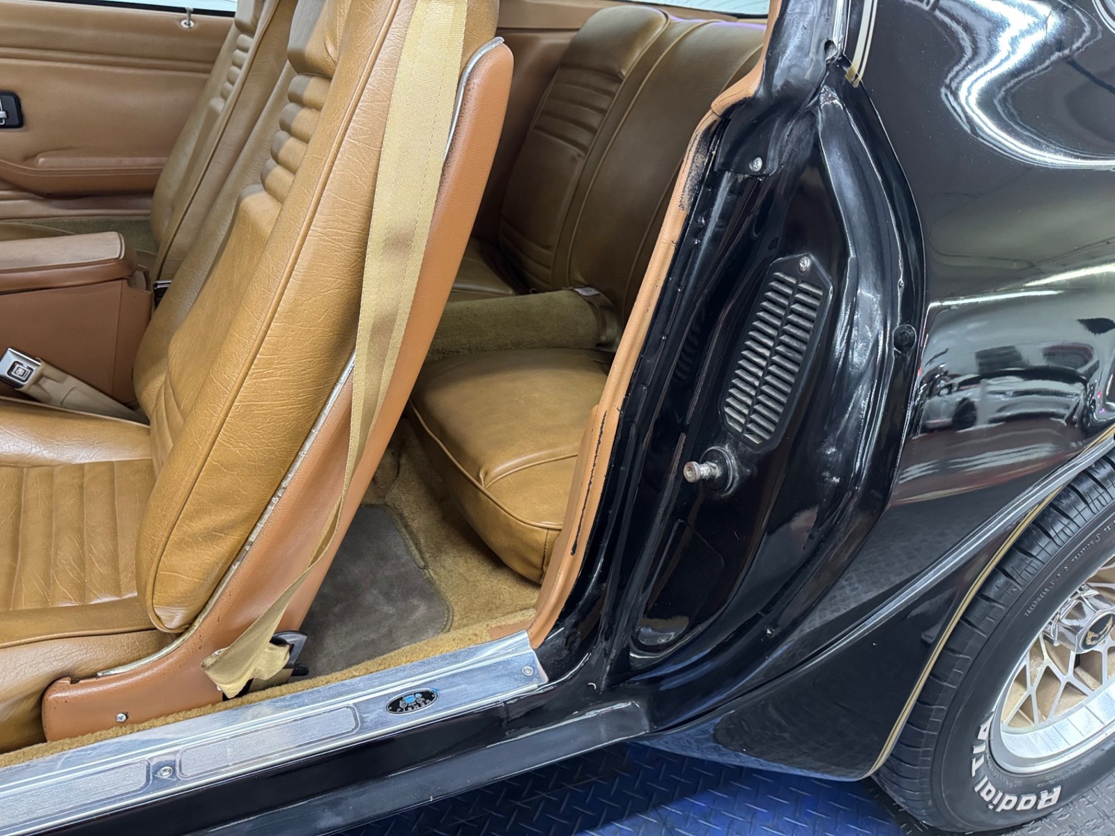 Pontiac-Firebird-1979-36