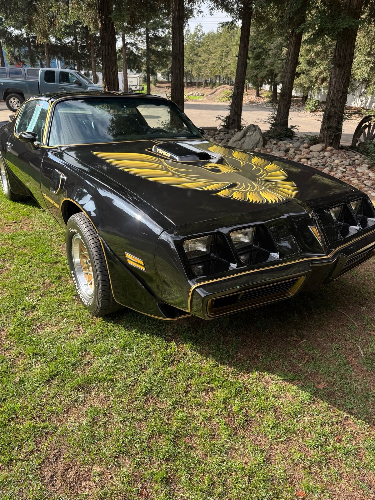 Pontiac Firebird 1979