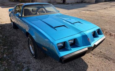 Pontiac-Firebird-1979-6