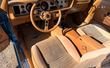 Pontiac-Firebird-1979-9