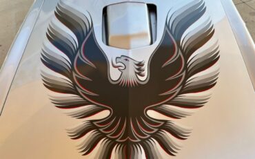 Pontiac-Firebird-1979-Convertible-12