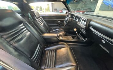 Pontiac-Firebird-1979-Convertible-19