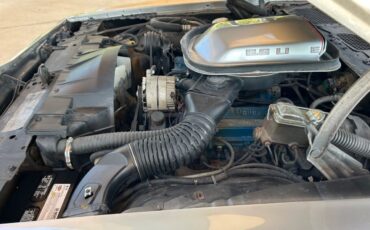 Pontiac-Firebird-1979-Convertible-25