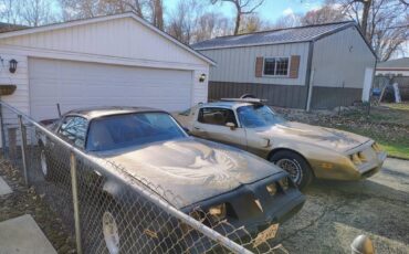 Pontiac-Firebird-1980-TTOP-1