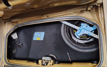 Pontiac-Firebird-1980-TTOP-2