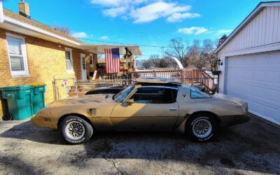 Pontiac Firebird 1980 TTOP