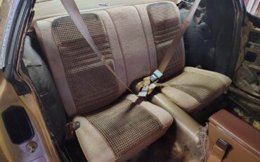 Pontiac-Firebird-1980-TTOP-5