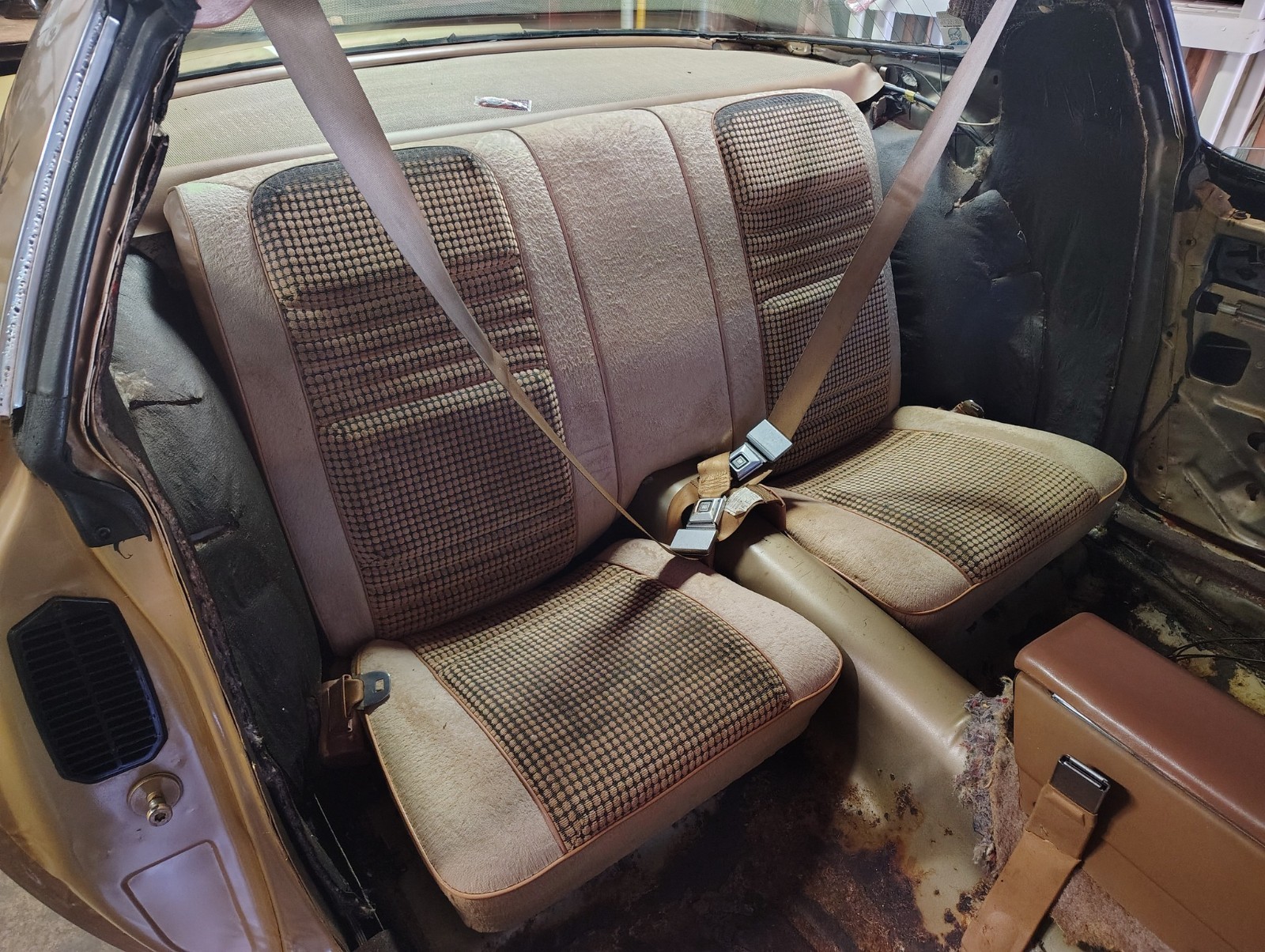 Pontiac-Firebird-1980-TTOP-5