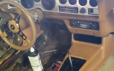 Pontiac-Firebird-1980-TTOP-6